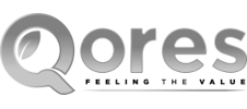 Qores - cliente Every SWS