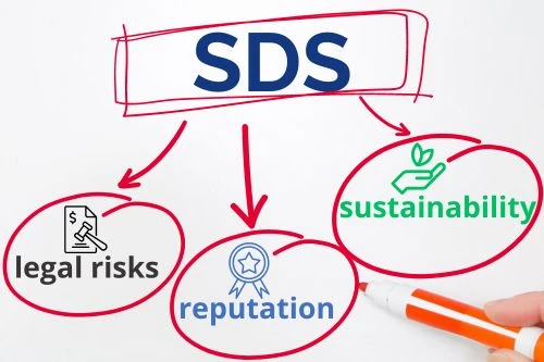 I rischi della cattiva gestione delle SDS in azienda - Every SWS